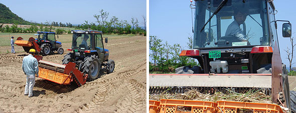 バイオディーゼル燃料を使用したトラクターによる農作業