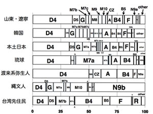 図３）日本列島及び周辺集団のミトコンドリアハプログループの頻度