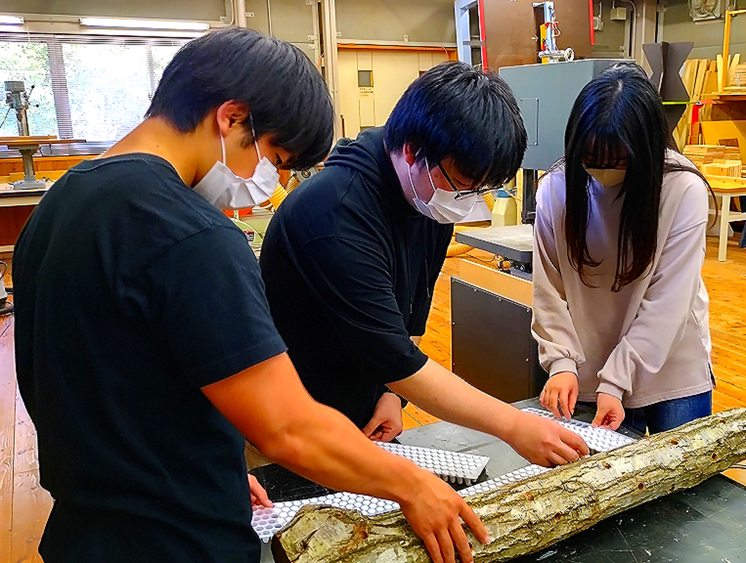原木に椎茸種菌を植える