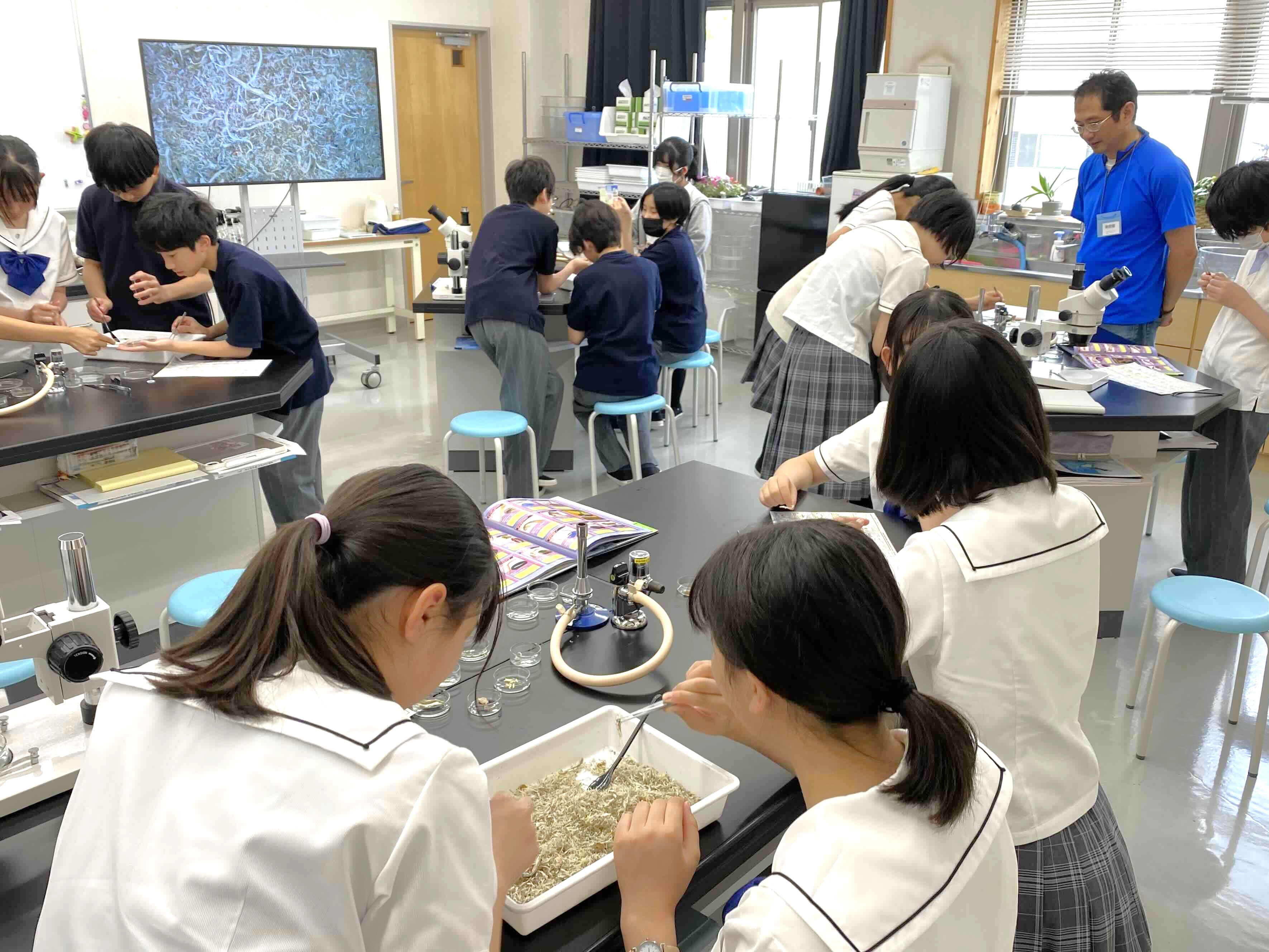 熱心に分類する生徒の皆さん