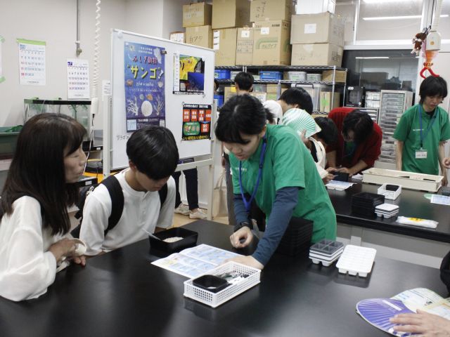 研究体験プログラム(3)