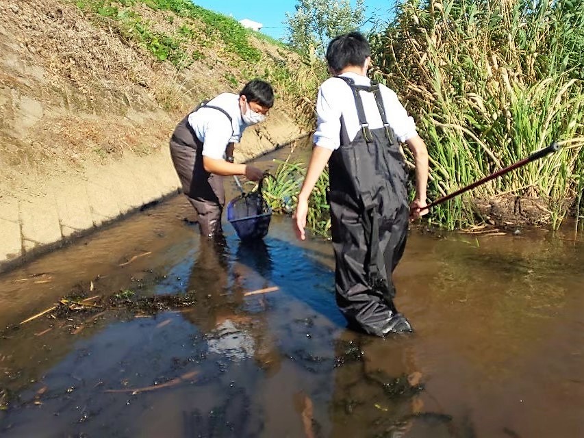 河川での生物調査の様子