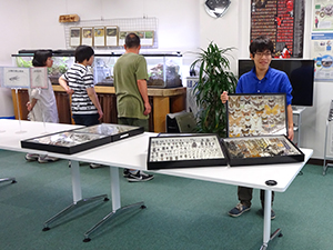 ミニ里山生物園特別企画No.3｢テラに棲む生物たちと里山昆虫標本コレクション｣を開催しました