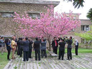 八重桜を鑑賞中