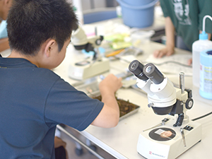 土の中のいろんな生き物を観察してみよう