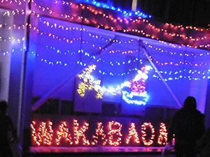 イルミネーション点灯!