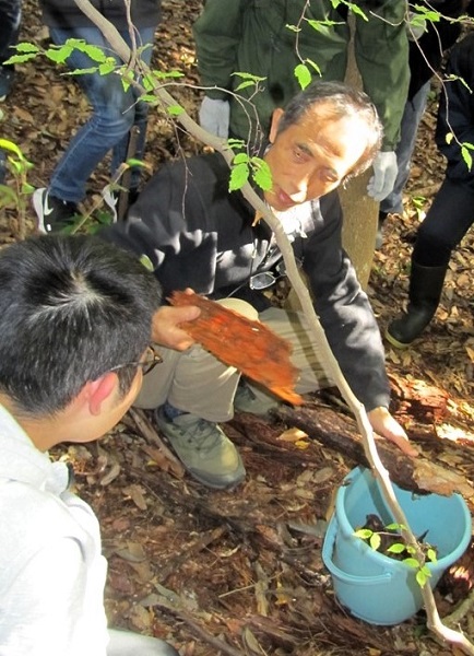 小林　朋道 講師（ヤマトシロアリ採集の様子）