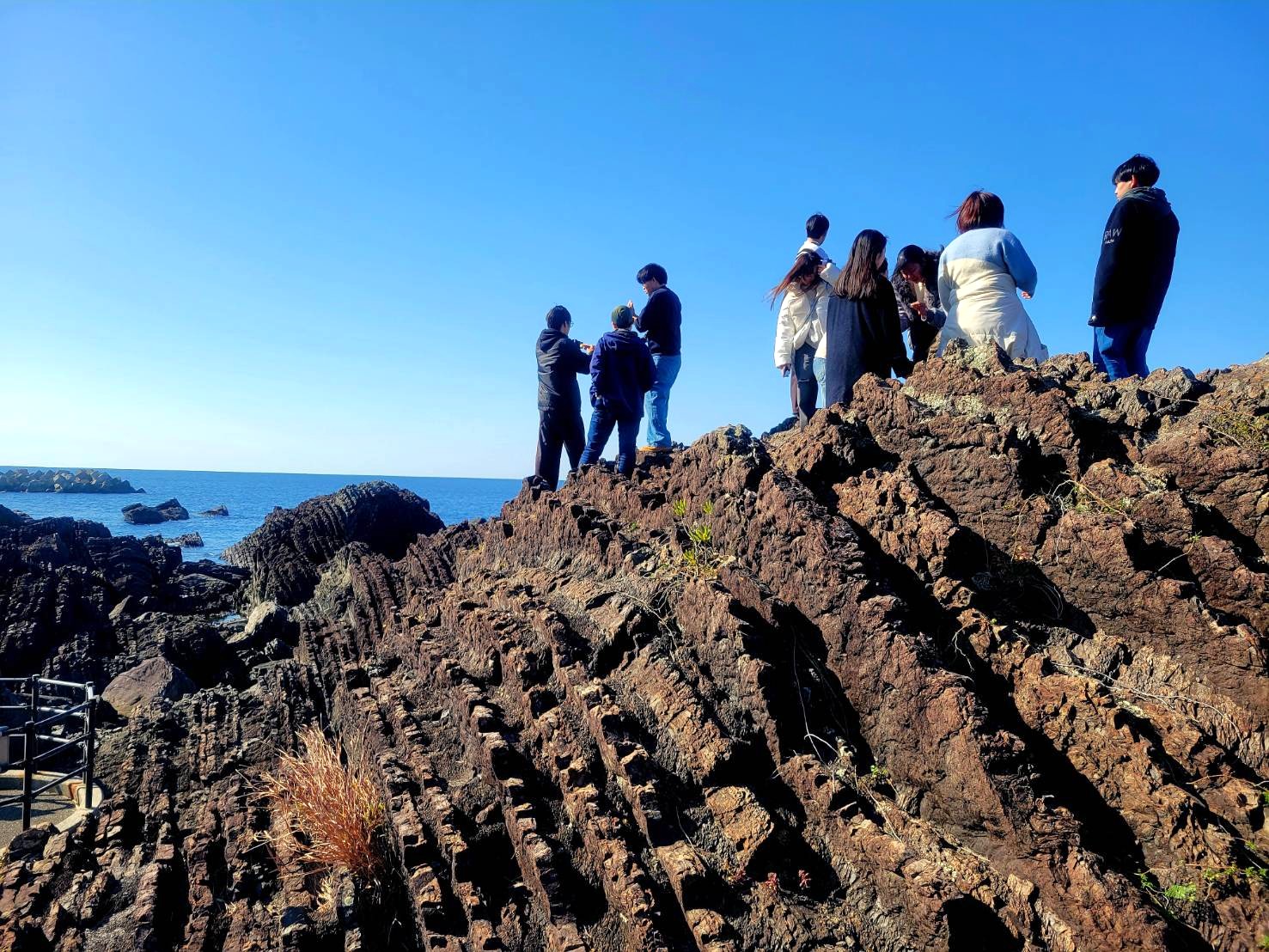 海岸の“シマシマの地層”について学生同士で議論を深めました（室戸市新村遊歩道）