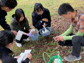 学内キノコ探索