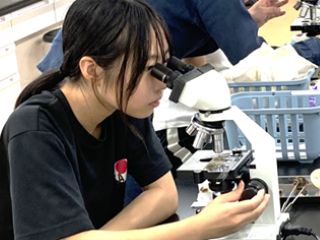 顕微鏡でキノコの胞子を観察