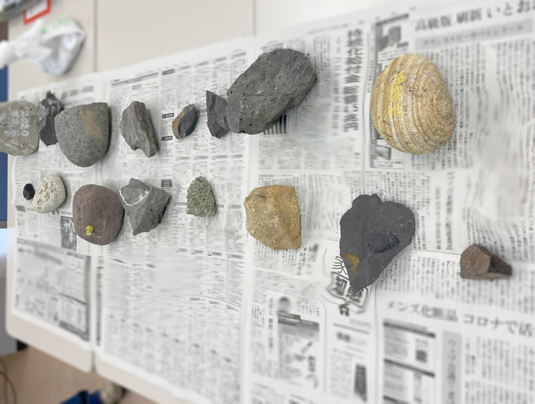 隕石や岩石、化石の標本