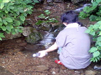 2007年度前期プロジェクト研究発表会3