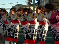 第４３回鳥取しゃんしゃん祭6