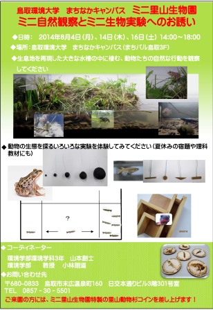 チラシ
