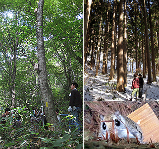生態調査のため樹木に巣箱を設置