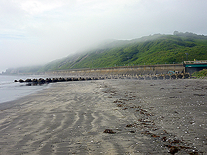 豊頃町（湧洞）