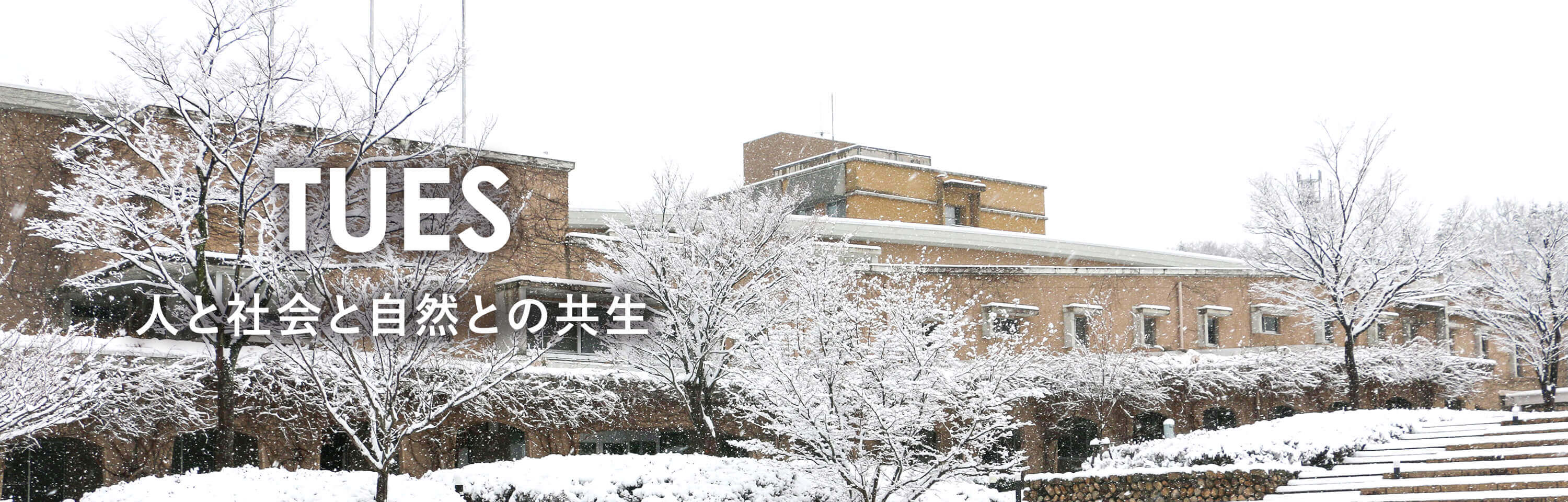 吉備 国際 大学 ユニパ 外国語学部 外国学科 学部 学科 吉備国際大学 吉備 国際 大学 ユニパ 外国語学部 外国学科 学部 学科 吉備国際大学